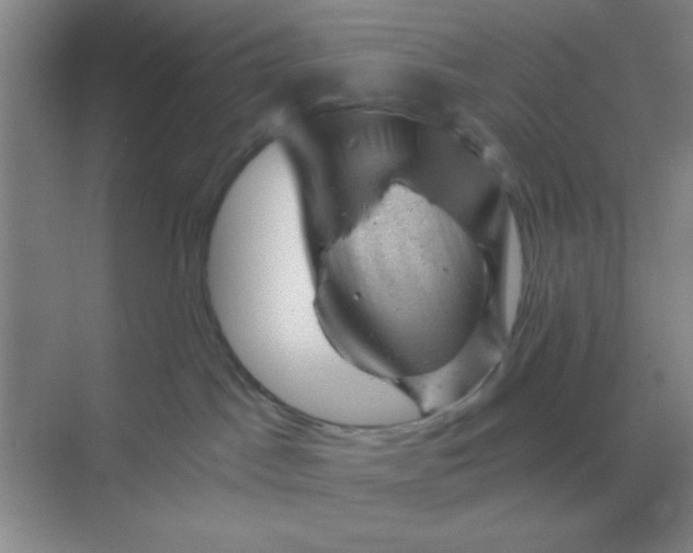 X0000068900045200605192212