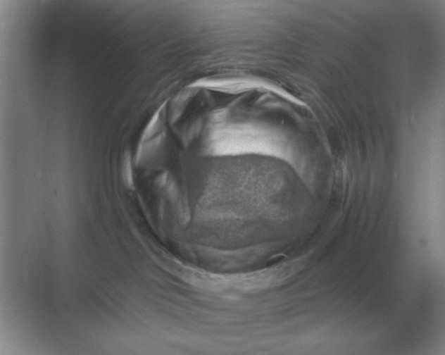 X0000068900046200605192212
