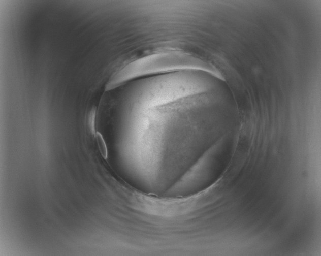 X0000068900047200605192212