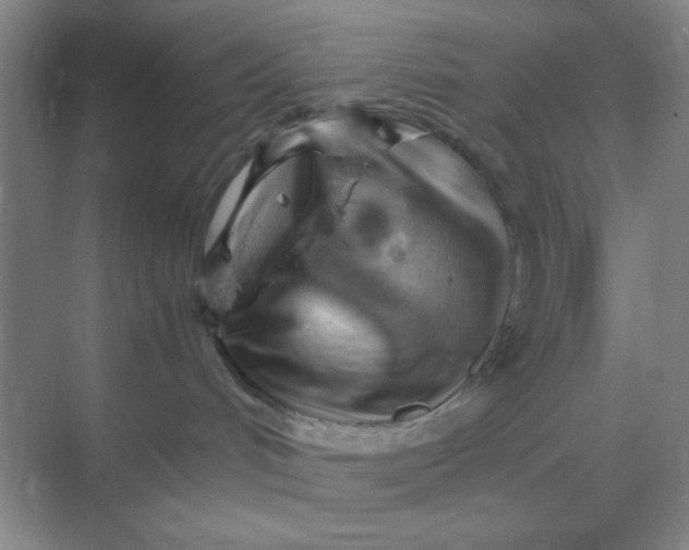 X0000068900048200605192212