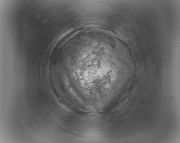 X0000068900050200605192211