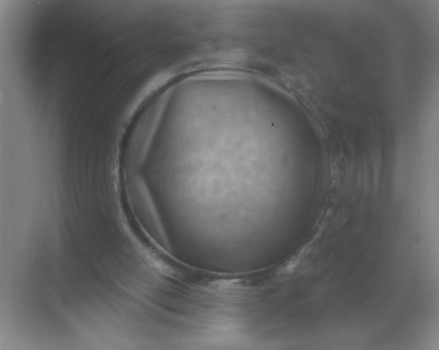 X0000068900054200605192211