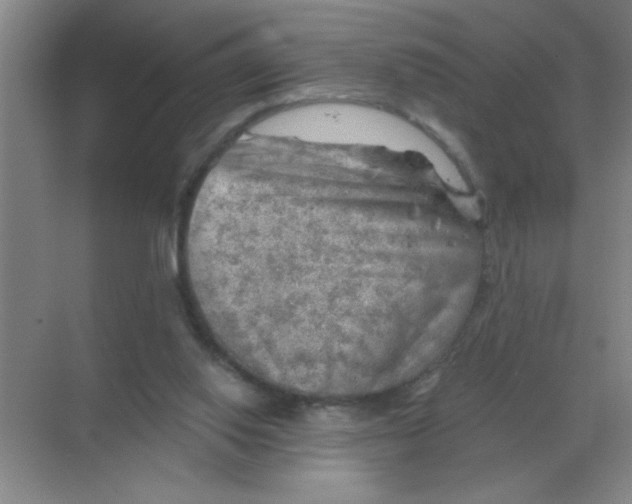 X0000068900062200605192211