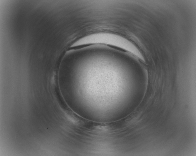 X0000068900071200605192212