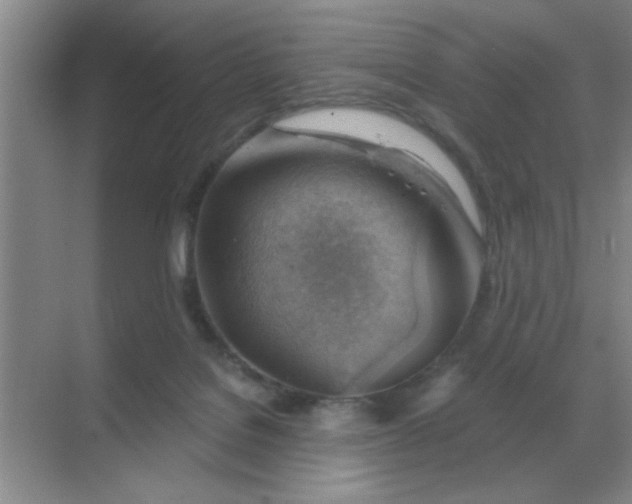 X0000068900076200605192212