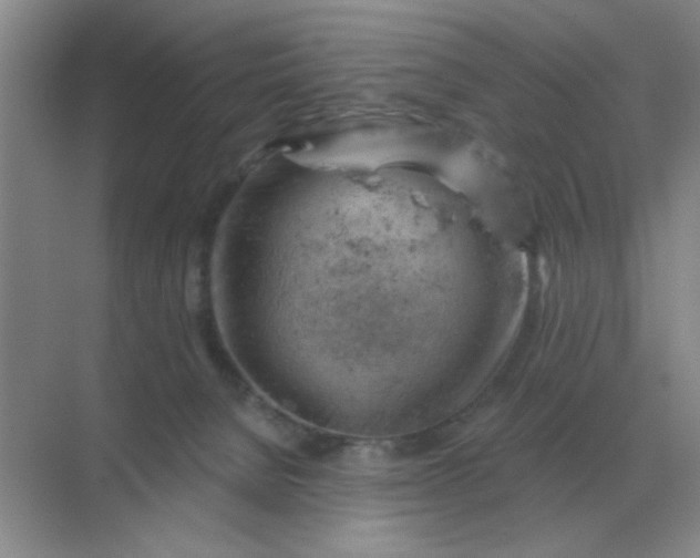 X0000068900080200605192212