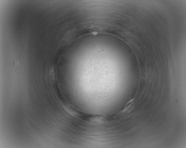 X0000068900086200605192212