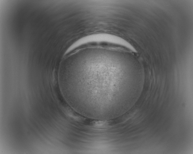 X0000068900088200605192212