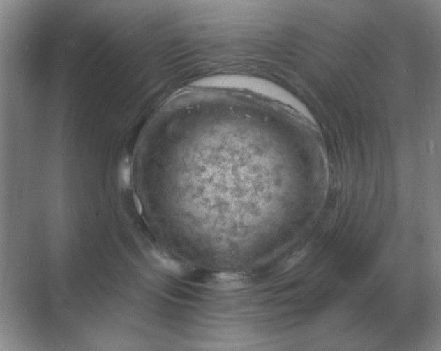 X0000068900095200605192212