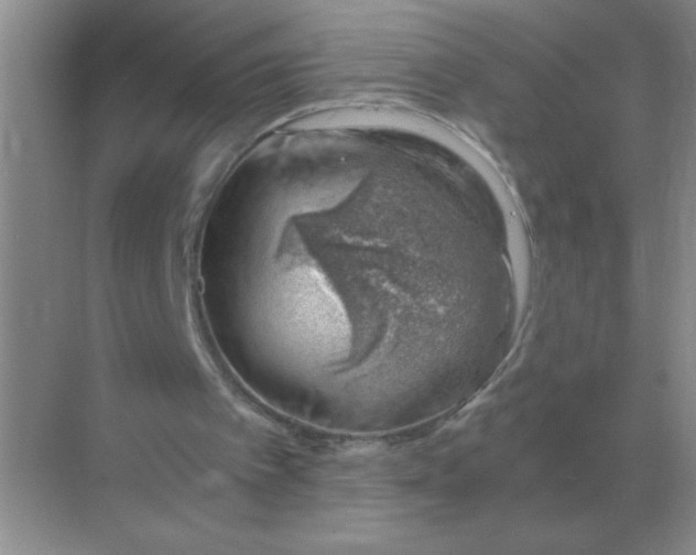 X0000068900097200605192211