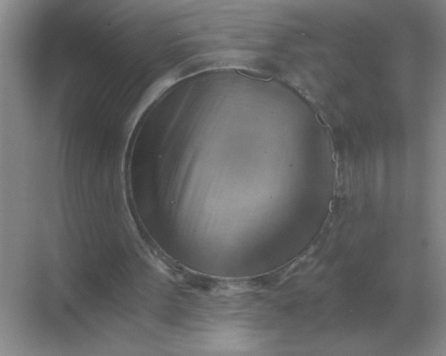 X0000068900099200605192211