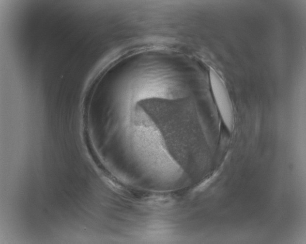 X0000068900101200605192211