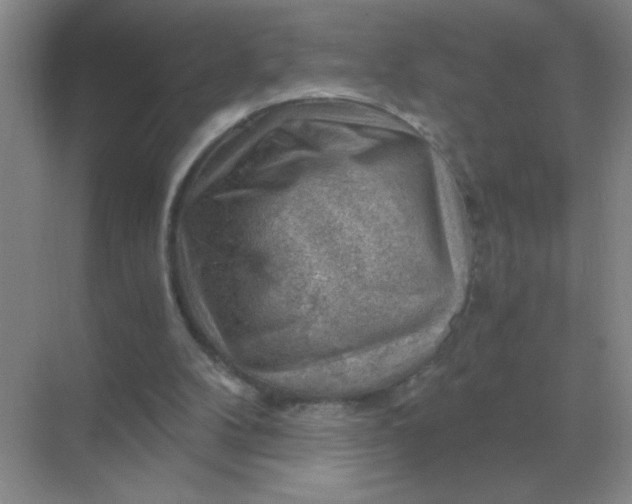 X0000068900104200605192211