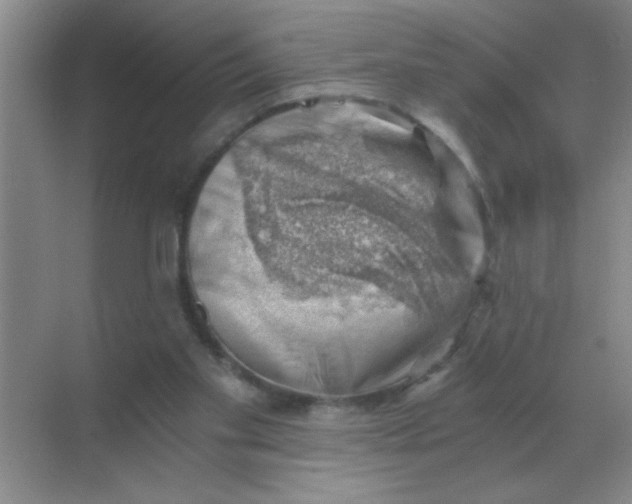 X0000068900109200605192211