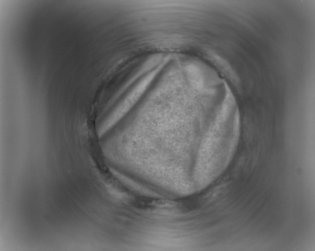 X0000068900113200605192211