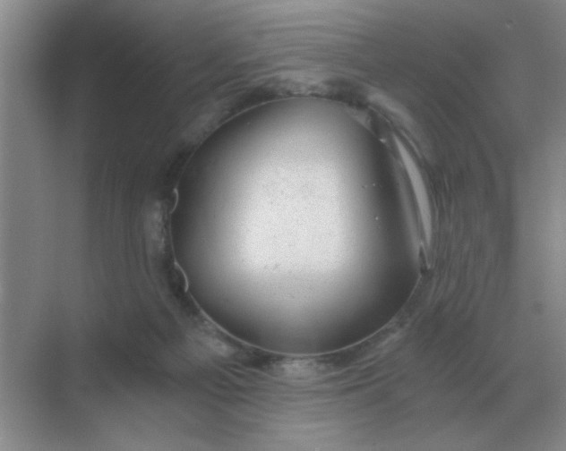 X0000068900121200605192211