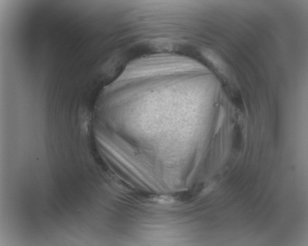 X0000068900125200605192211