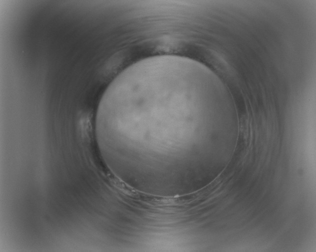 X0000068900127200605192211