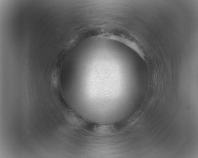 X0000068900129200605192211