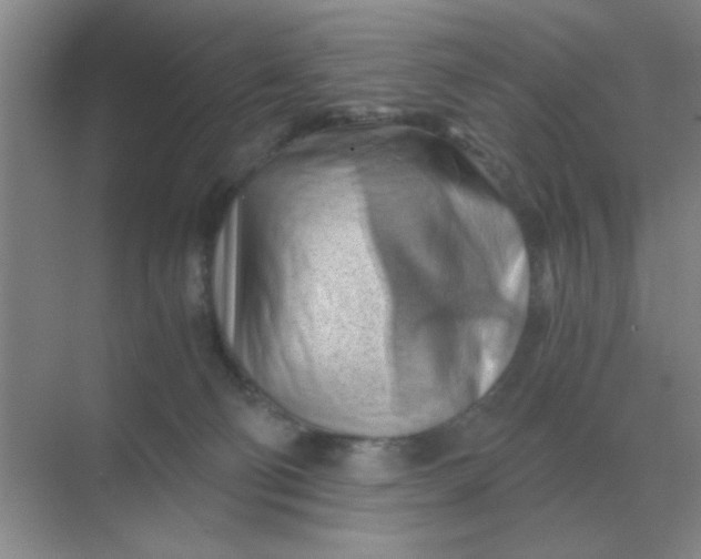 X0000068900130200605192211