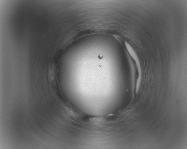 X0000068900133200605192211