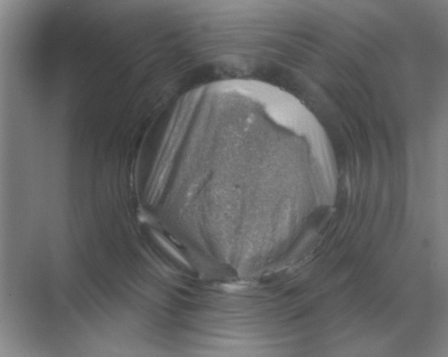 X0000068900134200605192210