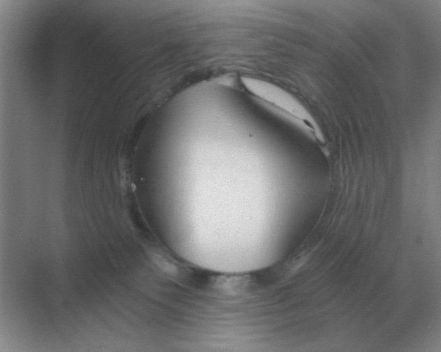 X0000068900135200605192210