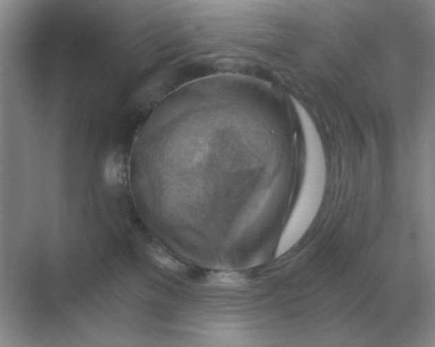 X0000068900137200605192210