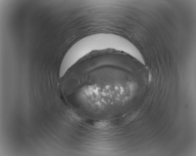 X0000068900139200605192210