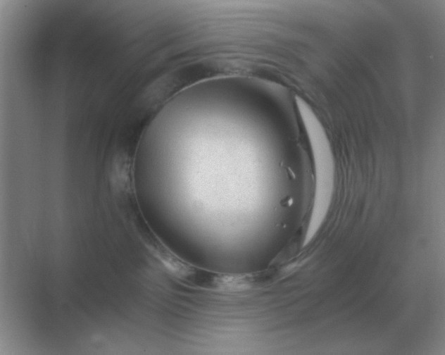 X0000068900141200605192210