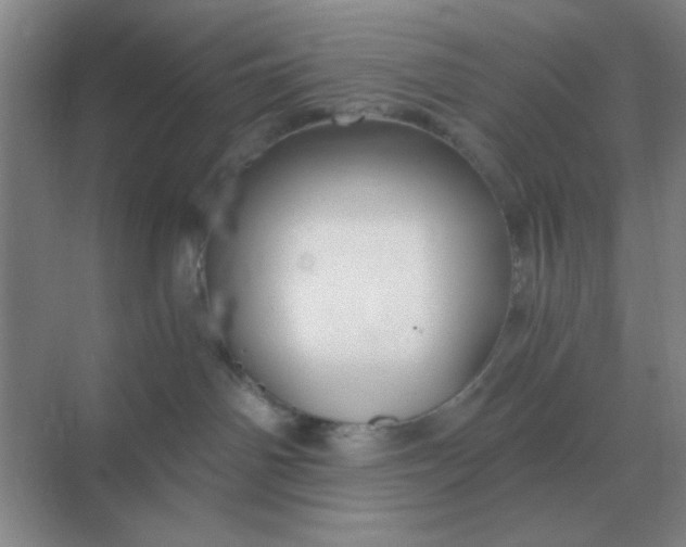 X0000068900142200605192210