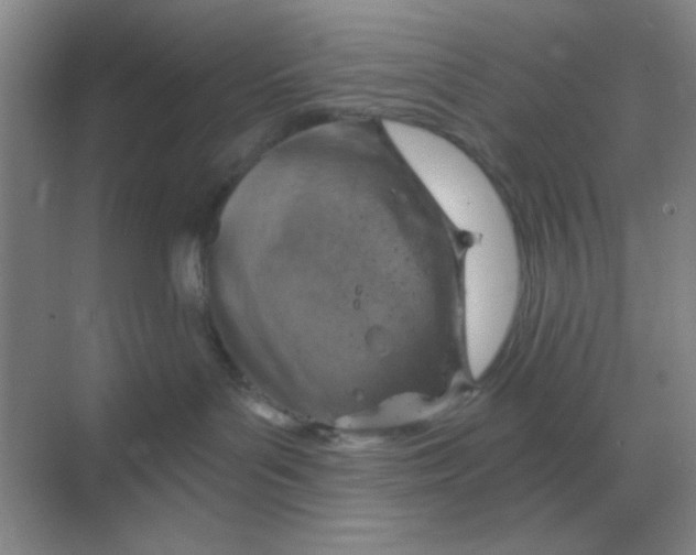 X0000068900143200605192210