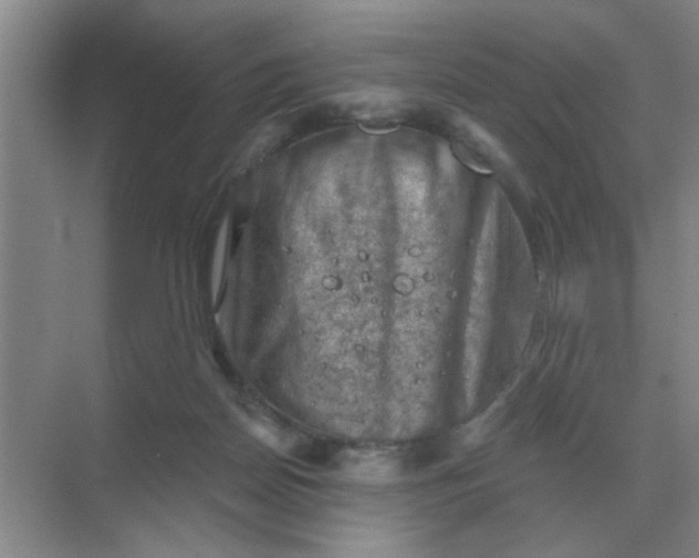 X0000068900170200605192210