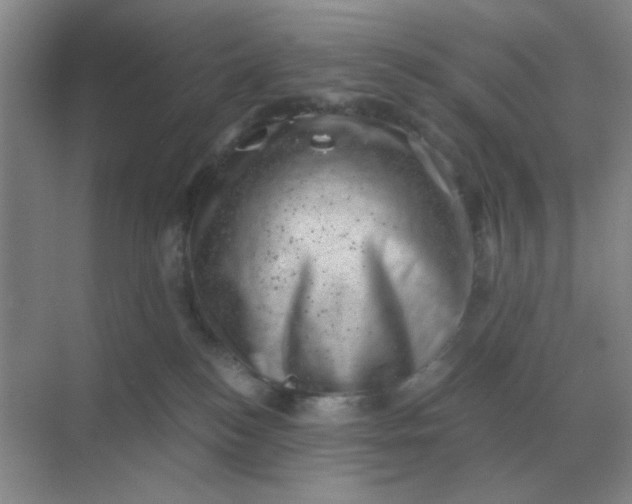 X0000068900184200605192210