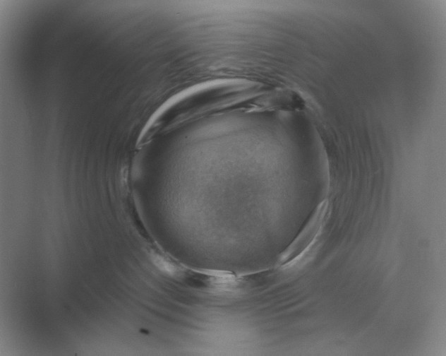 X0000068900192200605192210