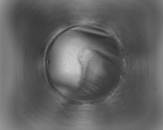 X0000068900196200605192209