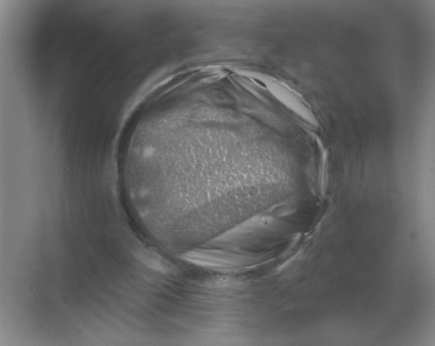 X0000068900198200605192209