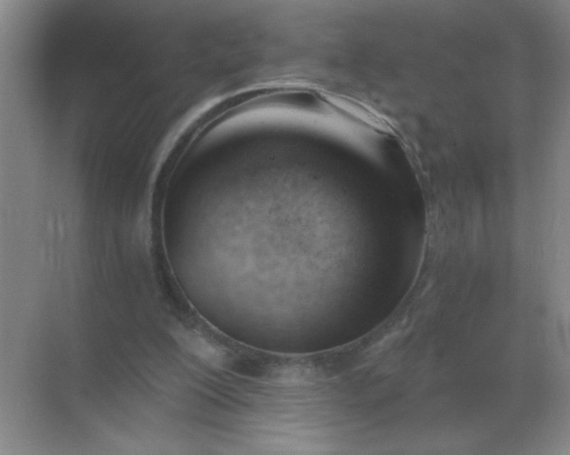 X0000068900200200605192209