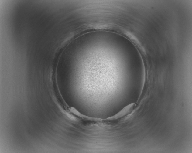 X0000068900201200605192209