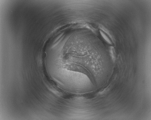 X0000068900203200605192209