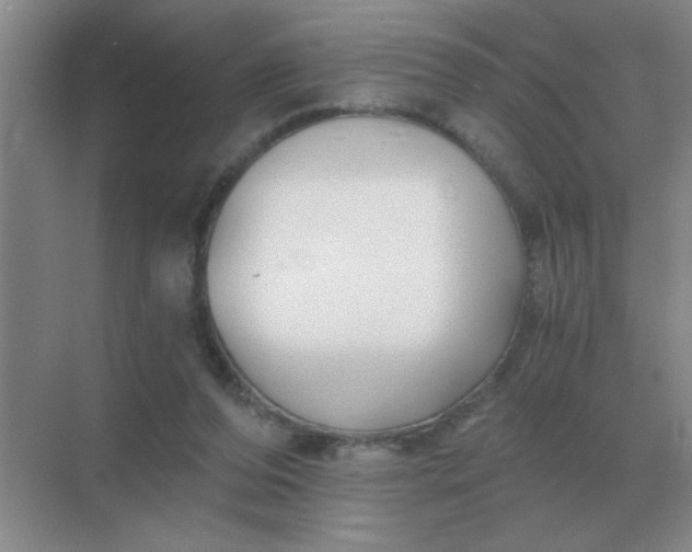 X0000068900208200605192209