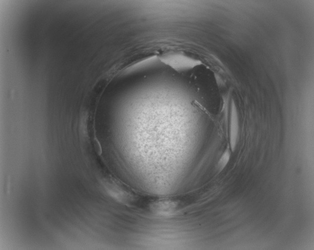 X0000068900217200605192209