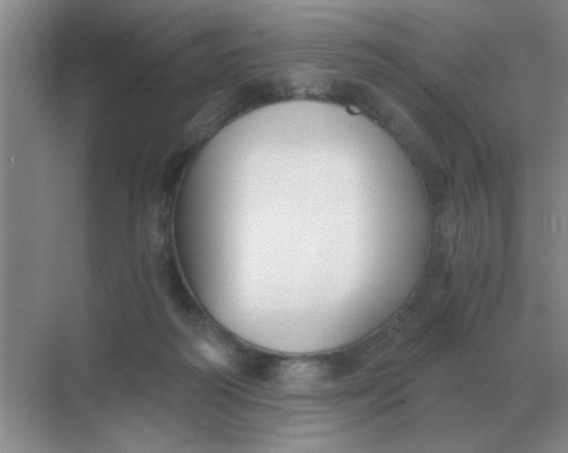 X0000068900218200605192209