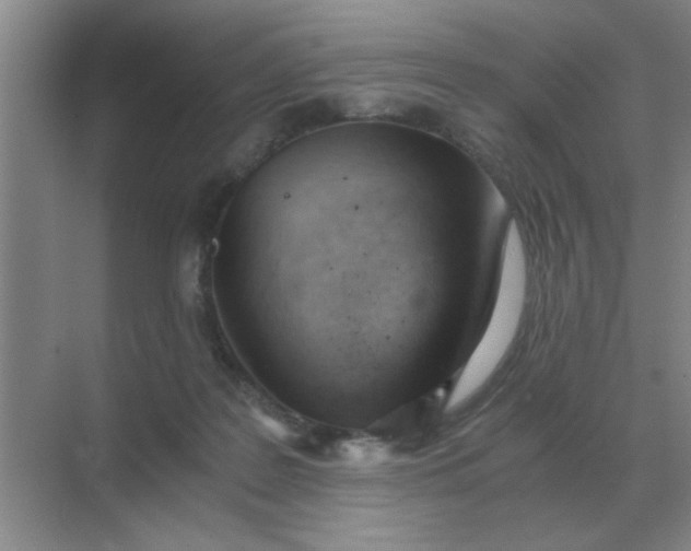 X0000068900219200605192209