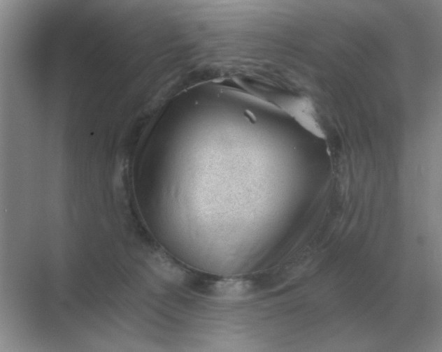 X0000068900225200605192209