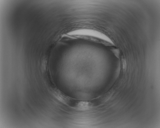 X0000068900227200605192209