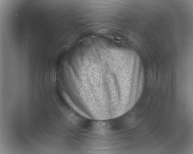 X0000068900230200605192209