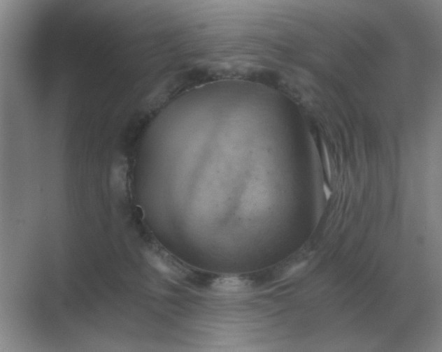 X0000068900231200605192209