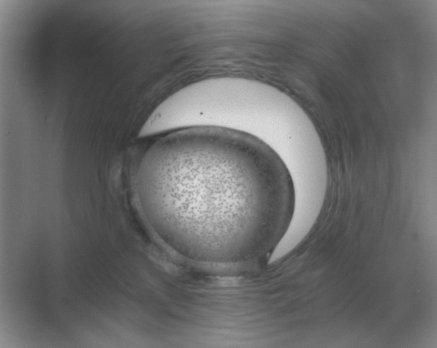X0000068900233200605192209