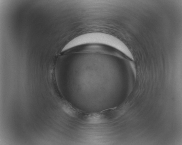 X0000068900235200605192209